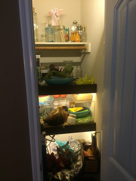The battery powered craft closet. This color lighting is warm white. (more yellow)